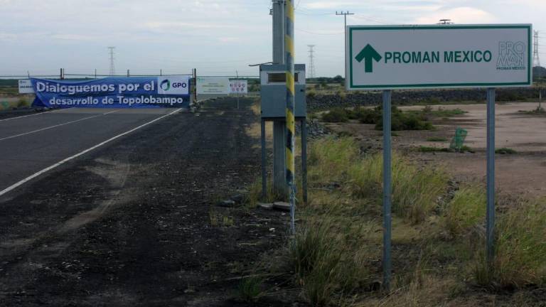 Gas y Petroquímica de Occidente argumenta que el proyecto de la planta de amoniaco favorecerá los planes de crecimiento del país.