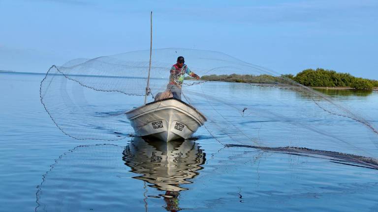 Este programa apoya a los pescadores ribereños con recursos para avituallarse y para comprar gasolina ante el inicio de la zafra de camarón.