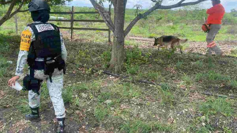 Tras años de omisiones, Chiapas busca a personas desaparecidas en ranchos vinculados al narco; hallan 12 fosas en 3 meses