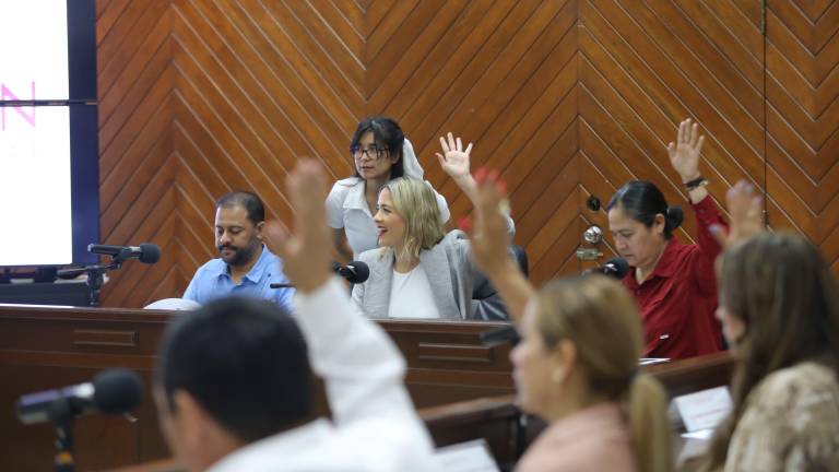 Con el programa se busca asegurar una aplicación eficiente, eficaz y transparente en la operación de los programas alimentarios para niñas, niños y población de atención prioritaria.