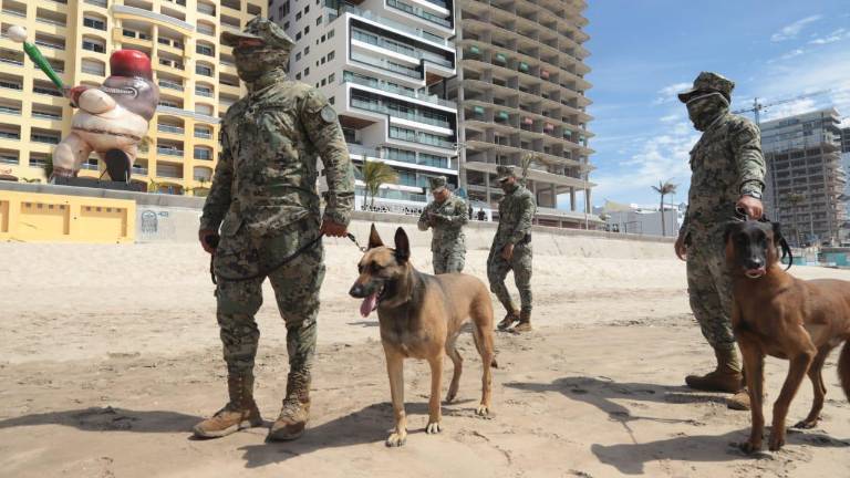 Militares y canes entrenados participaron este domingo el operativo en la playa de Mazatlán.