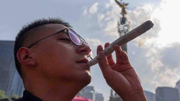 Organizaciones de la sociedad civil e instituciones impulsan una iniciativa para obtener estadísticas certeras sobre el consumo de cannabis en el país.
