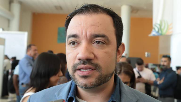 José Ángel Crespo Durán, presidente de la asociación Exportaciones de Mango de México.