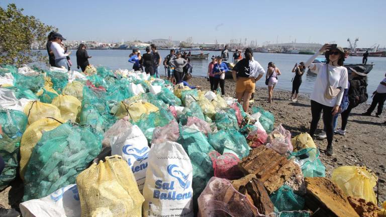 En menos de una hora se llenaron decenas de costales y arpillas con la basura.