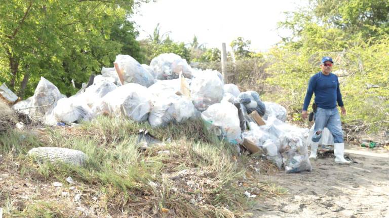 El equipo de MazConCiencia llevó a cabo la cuarta jornada de limpieza en la zona con la participación de 90 voluntarios.