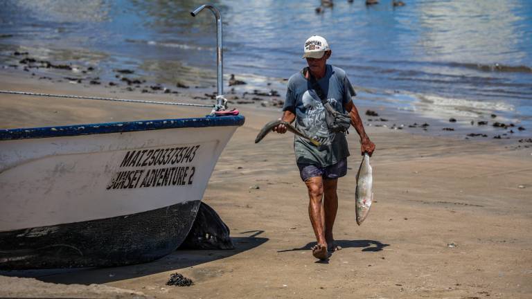 Moya Acosta expuso que se mantienen pescando el pargo, cochito y sierra para poder llevar el chivo a la casa, en lo que llega la venta buena de la temporada vacacional.
