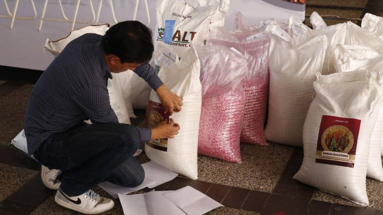 Fueron beneficiados 7 mil 169 productores con apoyos en semillas.