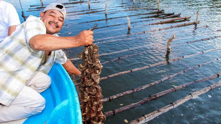 La Conapesca anunció que reforzarán la inspección y vigilancia estará a cargo de la Secretaría de Agricultura y de la Secretaría de Marina.
