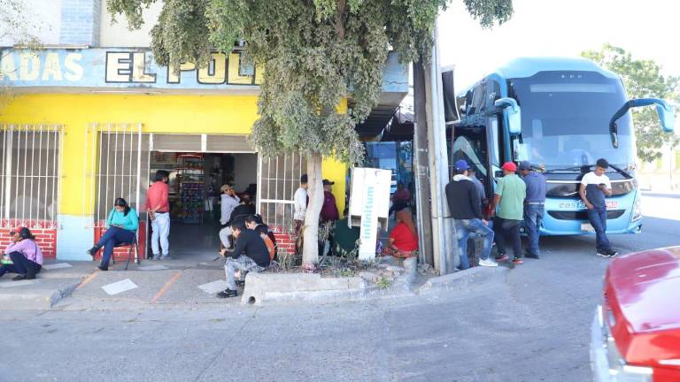 Son alrededor de 90 jornaleros originarios del estado de Oaxaca los que quedaron varados en Villa Unión.