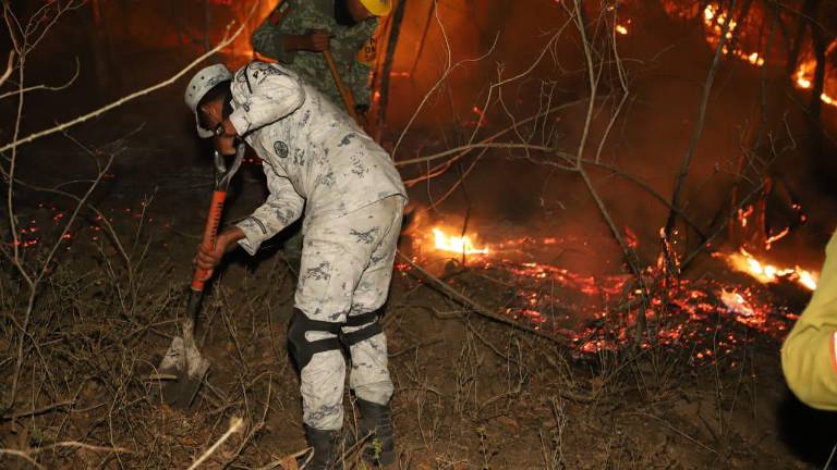 Son 63 elementos de las diferentes corporaciones que atacan el incendio que aún está fuera de controlarse en la Sierra de Concordia.