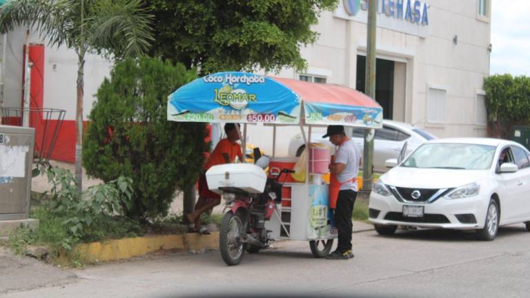 Vendedores de nieves, tejuinos y aguas frescas en Rosario han visto crecer sus ingresos gracias al intenso calor registrado este verano.
