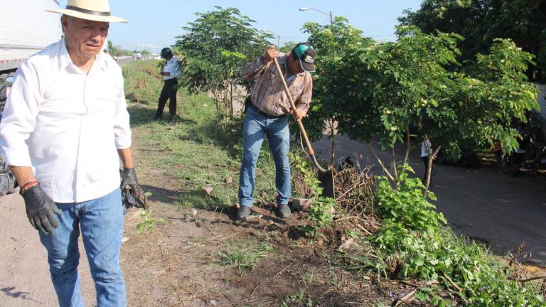 Se recolectó más de una tonelada de basura y se plantaron árboles.