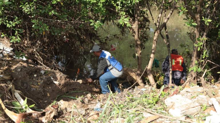 La Alcaldesa de Mazatlán se comprometió a no permitir tala de manglares en el Arroyo Jabalines.