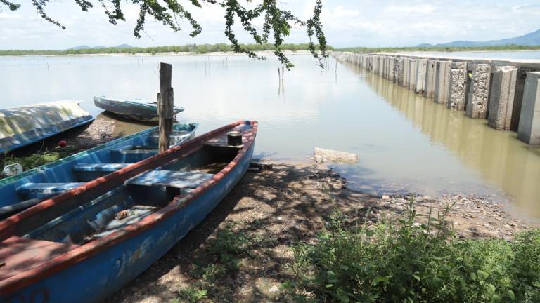 Tras un recorrido realizado por Datemex por los principales campos pesqueros, se observó que lucen desolados sin movimiento.