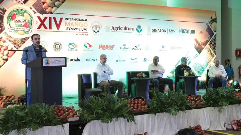 En Mazatlán se lleva a cabo la edición 14 del Simposio Internacional de Mango.