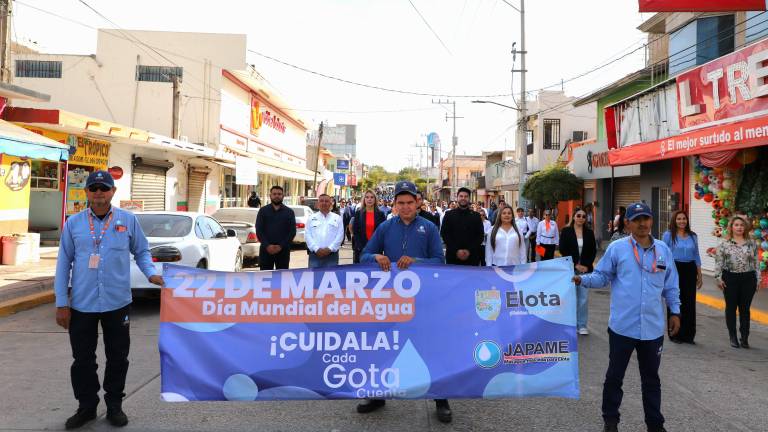 Diferentes instituciones participan en la marcha.