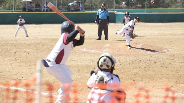 Buenos encuentros se han observado en el Nacional Pingüica de beisbol.