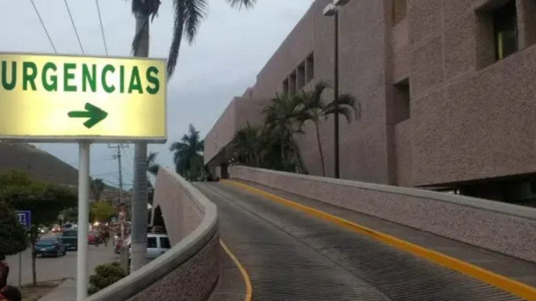 Una mujer falleció en un hospital de Los Mochis luego de que se intoxicara con veneno de manera accidental.