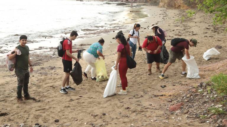 Voluntarios recolectaron basura y sembraron árboles nativos en playas, manglares y esteros de Mazatlán.