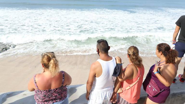 Ante la presencia de un cocodrilo en el mar se hizo un llamado a los bañistas a atender las indicaciones de los salvavidas