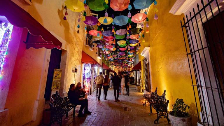 El taller se llevará a cabo en el Centro Sinaloa de las Artes Centenario.