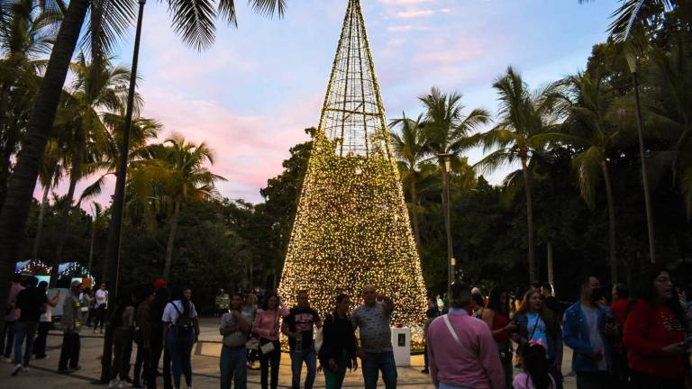 El recorrido de luces en el Botánico estará abierto todos los días, a partir de este domingo 1 de diciembre hasta el 12 de enero de 2025.