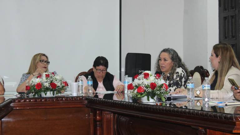 Rosa María Ruiz planteó la urgencia de que se instalen las comisiones al interior del Cabildo.