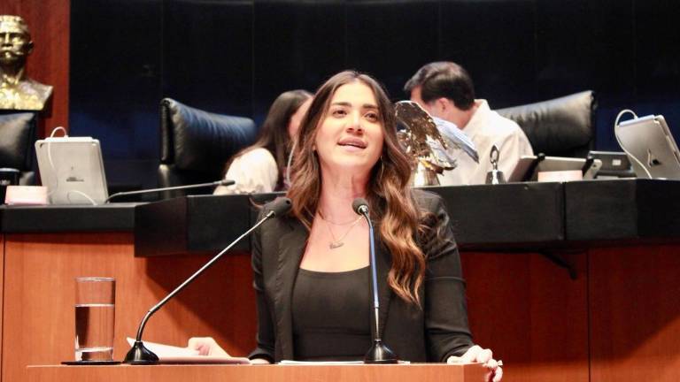 Sánchez Ramos dijo que, en cada episodio de violencia, como balaceras, amenazas o bloqueos, quienes más sufren son las niñas y niños.