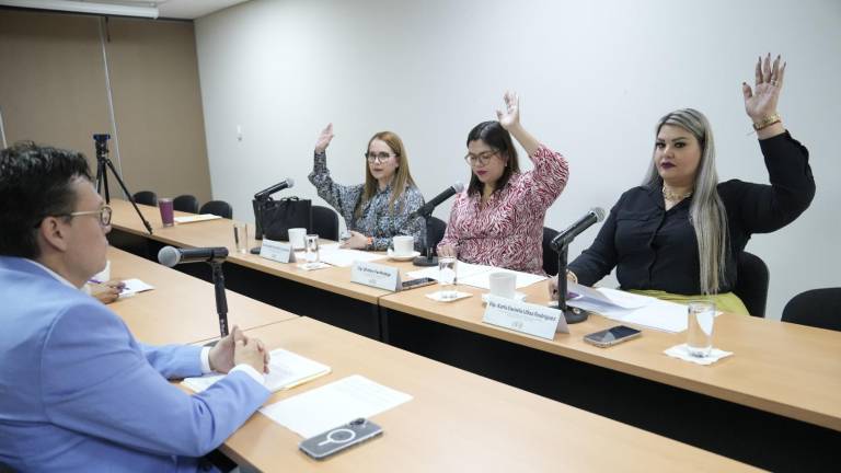 La Comisión de Igualdad, Género, Diversidad Sexual e Inclusión aprobó la propuesta.