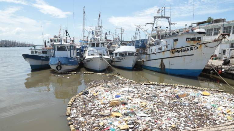 Lluvias de sábado por la noche dejan más basura en las biobardas de Mazatlán