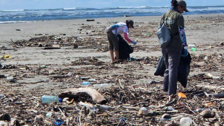Voluntarios participan en la limpieza de playas recogiendo desechos plásticos.