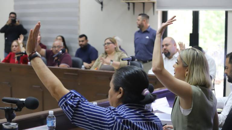 El Cabildo de Mazatlán aprobó una iniciativa para proteger a los animales.