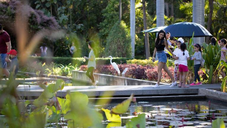 Jardín Botánico de Culiacán