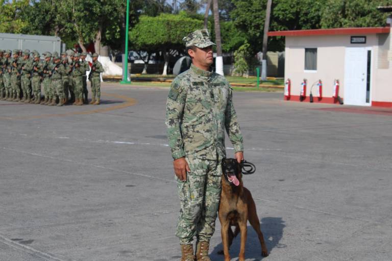 Por retiro de elemento canino, admiten que sí hallaron explosivos previos al Carnaval