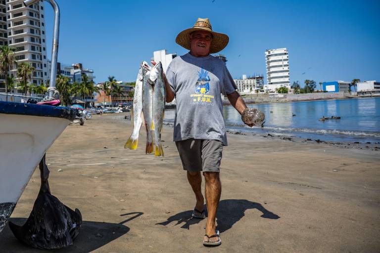 Ventas de pescado y marisco en Playa Norte, Mazatlán, en picada por baja afluencia turística