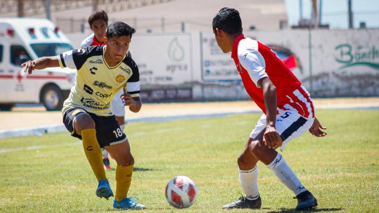 Dorados es de los mejores equipos de la Tercera División.
