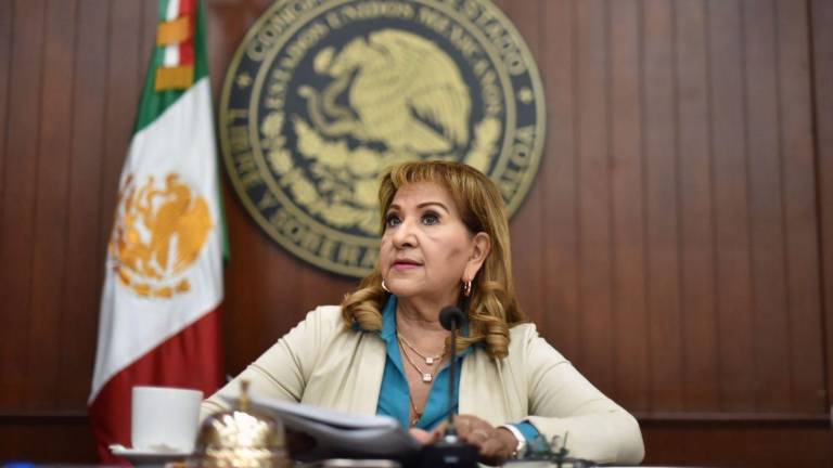 La Legisladora señaló que se pretende reformar el Código Penal para incluir prácticas como la instalación de cámaras de videovigilancia clandestinas.
