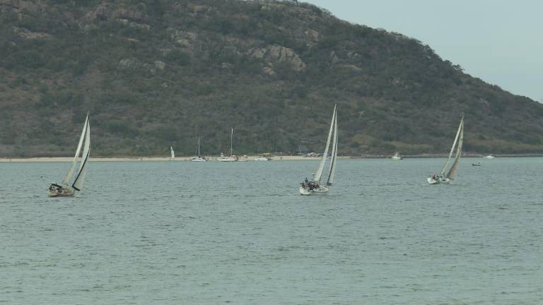 En total tomaron parte de la regata siete veleros.
