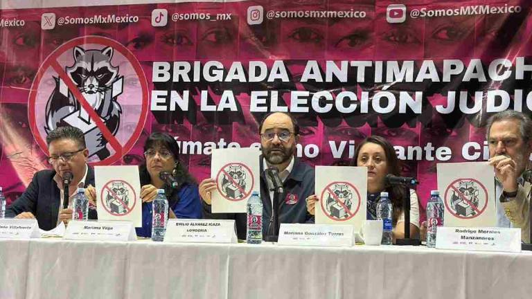 Integrantes de la Marea Rosa, el Frente Cívico Nacional y Somos MX organizaron una “Brigada Antimapaches”.