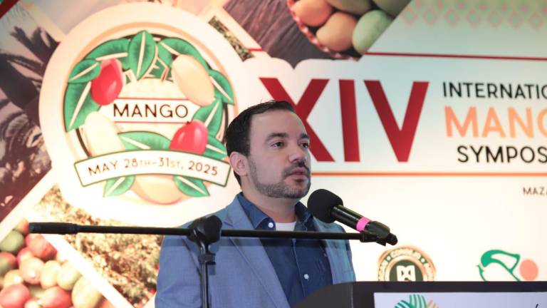 La sequía registrada en Sinaloa afectará la producción de mango, señala el dirigente de EMEX, José Ángel Crespo Durán.