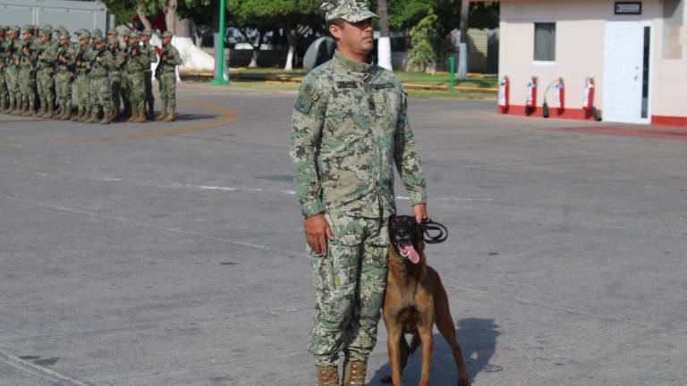 Ixku se especializó como detector de explosivos. Entre sus logros más destacados figura su intervención durante un patrullaje a pie en el malecón de Mazatlán.