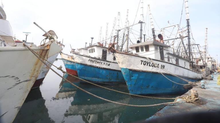 La flota camaronera de Mazatlán está amarrada en el muelle del Parque Bonfil, en este puerto.