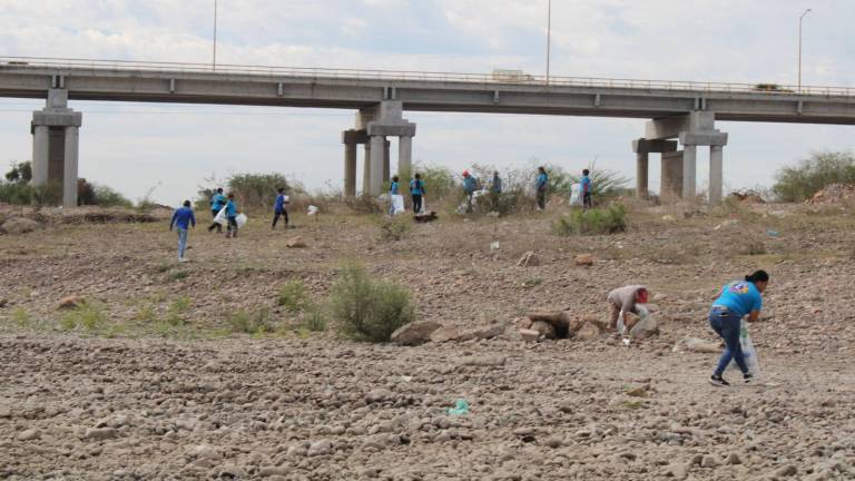 La asociación Conselva junto con la empresa “El Manantial” realizarán este miércoles el Picnic en el río Baluarte.