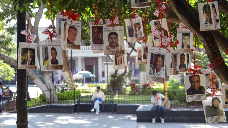 El colectivo Memoria, Verdad y Justicia de Acapulco colocó en el Árbol de la Esperanza del zócalo de Chilpancingo, el 3 de diciembre, cerca de 200 fotografías de personas desaparecidas.