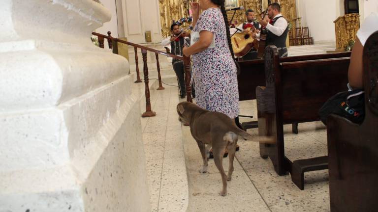 En cada misa, Canela se hace presente como parte de la comunidad del Santuario de Nuestra Señora del Rosario.