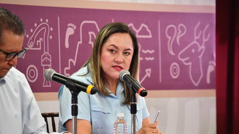 El Gobierno de Sinaloa defiende la medida contra el polarizado en vehículos.