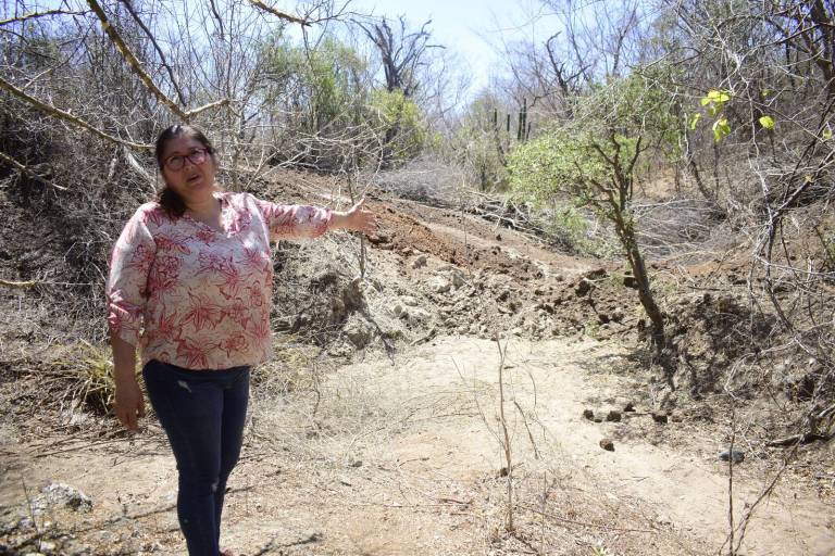 Denuncian devastación de flora y dos arroyos en Palos Blancos, en Culiacán