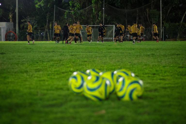 Habrá visorías para Dorados de Sinaloa