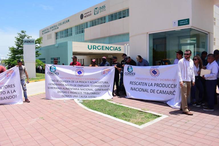Camarón de contrabando puede llevar a la quiebra a acuacultores sinaloenses, reclaman a AMLO
