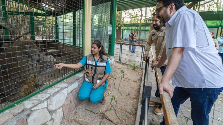 Muchos de los animales provienen de rescates o aseguramientos y ahora se encuentran documentados ante la Profepa.